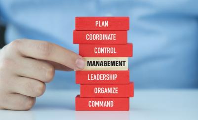 building blocks with word including management